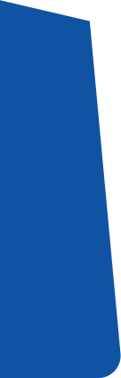 back image